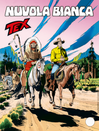 Copertina di Tex #482