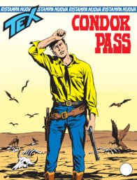 Copertina di Tex Nuova Ristampa #134
