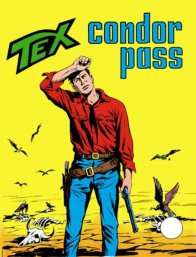 Copertina di Tex Tre Stelle #134